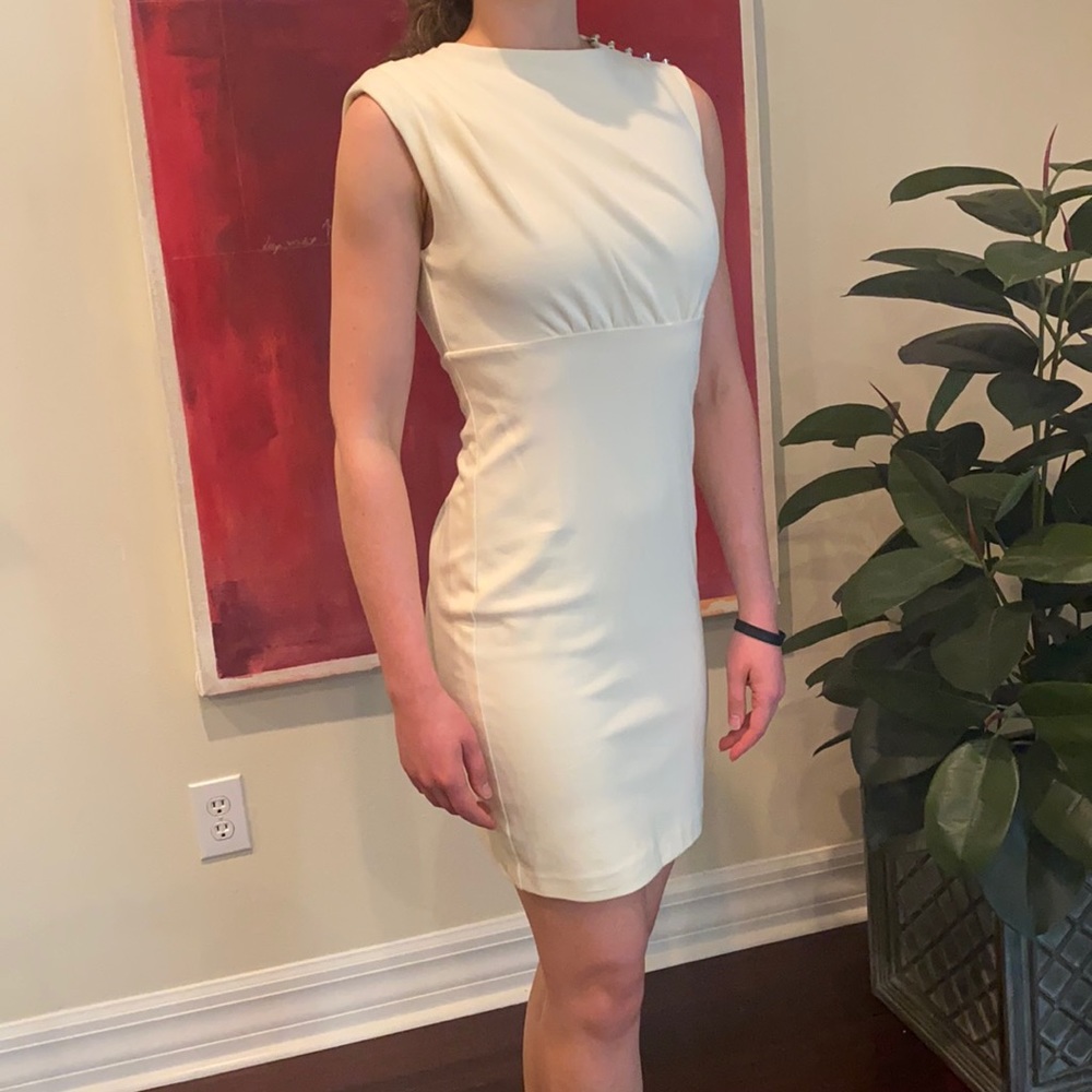 Ted baker dress